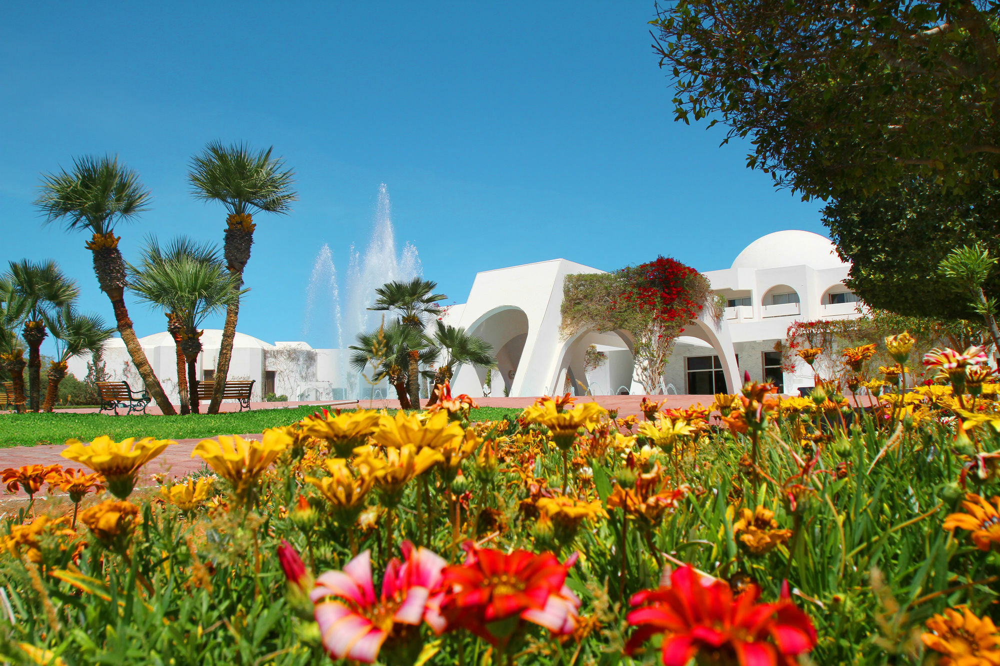 Triffa Djerba Plaza Thalasso & Spa מראה חיצוני תמונה